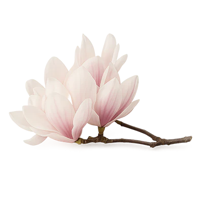 MAGNOLIA_BIONDII_FLOWER_EXTRACT
