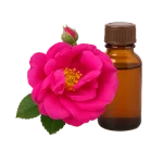 ROSA_GALLICA_FLOWER_EXTRACT